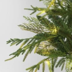 24" Pre-Lit Christmas Norfolk Cedar Artificial Greenery With Ground Stake - Wondershop™ -Christmas Sale Store GUEST 517b159a ab98 4251 ad4a 9a78c2d8852a