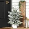 3' Pre-Lit Potted Flocked And Glittered Norfolk Artificial Christmas Tree - Wondershop™ 10 3' Pre-Lit Potted Flocked And Glittered Norfolk Artificial Christmas Tree - Wondershop™ -Christmas Sale Store GUEST 6f9df63f d6f9 48b6 82ce 43fbb803932e