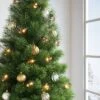 Incandescent Christmas Filament String Lights Clear With Green Wire - Wondershop™ -Christmas Sale Store GUEST 887c80cc 454a 4a3c 82e4 cd10105555e3