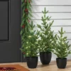 Pre-lit Potted Balsam Fir Mini Artificial Christmas Tree Set Warm White Lights - Wondershop™ 8 Pre-lit Potted Balsam Fir Mini Artificial Christmas Tree Set Warm White Lights - Wondershop™ -Christmas Sale Store GUEST af46b757 b950 4a1d ad17 04fdeb7728bd