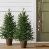 2pc 3' Pre-Lit Potted Balsam Fir Artificial Christmas Trees Warm LED White Lights - Wondershop™ 8 2pc 3' Pre-Lit Potted Balsam Fir Artificial Christmas Trees Warm LED White Lights - Wondershop™ -Christmas Sale Store GUEST bafd6766 a2fc 4c0c a392 af7072b314af