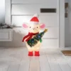 Incandescent Tinsel Mouse Christmas Novelty Sculpture Light With Clear/Multicolor Light Bulb - Wondershop™ 4 Incandescent Tinsel Mouse Christmas Novelty Sculpture Light With Clear/Multicolor Light Bulb - Wondershop™ -Christmas Sale Store GUEST d0871e27 6bd8 4346 8ac2 1f7f18898994