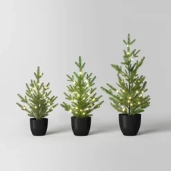 Pre-lit Potted Balsam Fir Mini Artificial Christmas Tree Set Warm White Lights - Wondershop™ -Christmas Sale Store GUEST dace8258 2c82 4bf0 9dbe c83373b16bdf